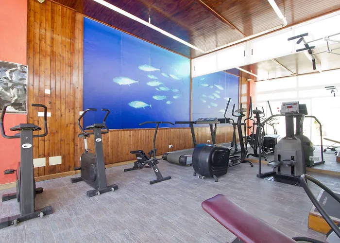 Lancelot 아리시페